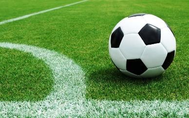 ФИФА подтвердила расположение в Волгоградской области трех тренировочных площадок ЧМ-2018
