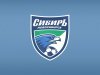 Сибирь (Новосибирск) – Ротор (Волгоград). ФНЛ. 2:2 (2:2)