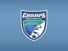 Сибирь (Новосибирск) – Ротор (Волгоград). ФНЛ. 2:2 (2:2) Сибирь (Новосибирск) – Ротор (Волгоград). ФНЛ. 2:2 (2:2)